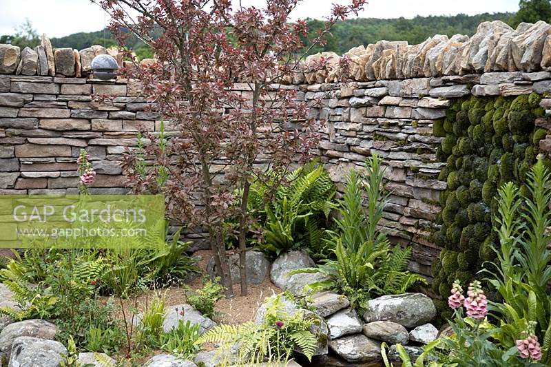 Dry stone wall and moss mounds in the 'Elements of Sheffield' garden at the RHS Chatsworth Flower Show 2019.
