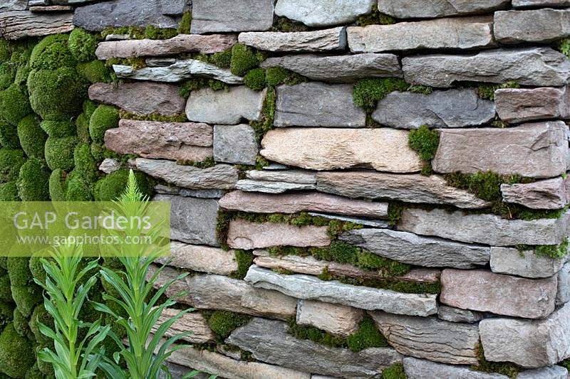 Detail of dry stone wall and moss mounds in the 'Elements of Sheffield' garden at the RHS Chatsworth Flower Show 2019.