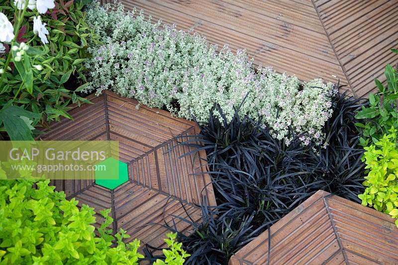 Hexagonal decking bordered with herbs in 'This Wild Life Garden' at BBC Gardener's World Live 2018.