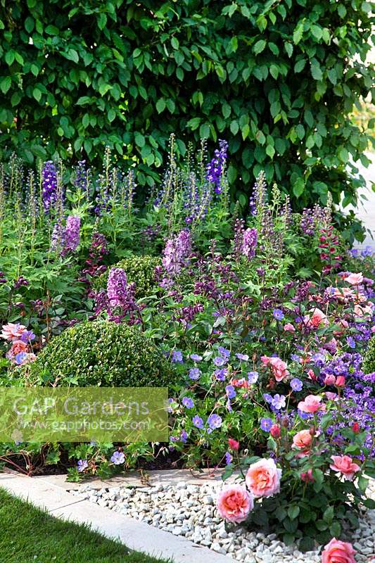 Purple and pink themed border with buxus topiary balls in the 'Tesco Every Little Helps Garden' at BBC Gardener's World Live 2018.