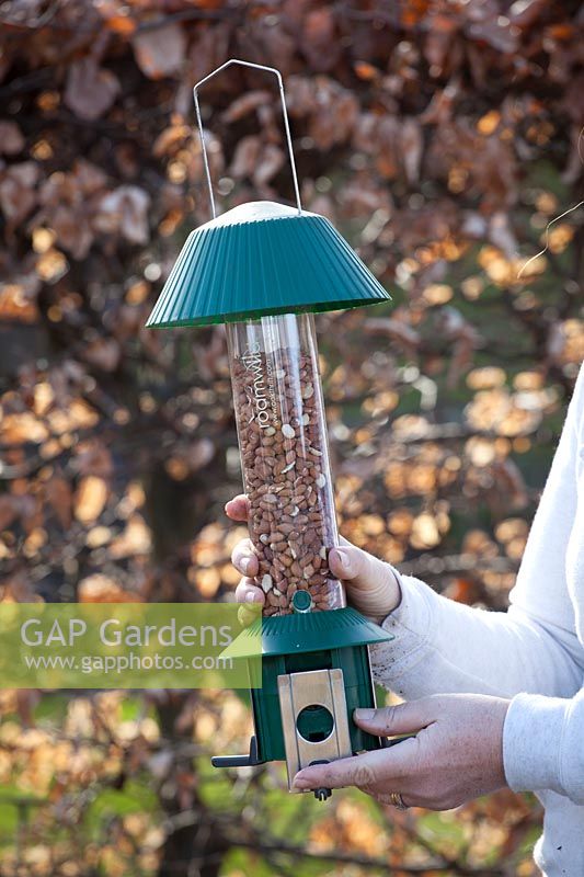 Feeding the birds with a squirrel proof bird feeder. 