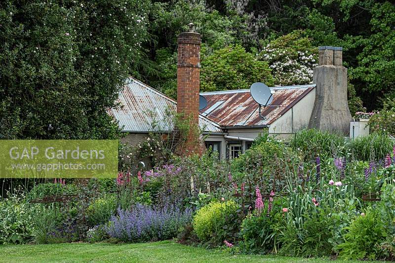 A herbaceous perennial border, in front of house with dense planting of trees beyond