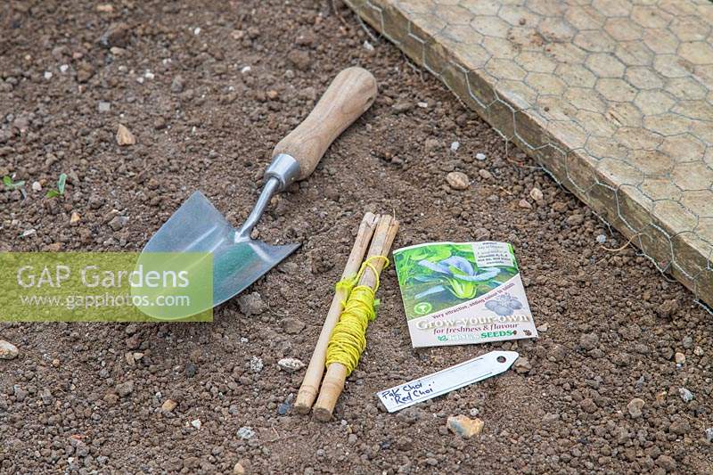 Tools and seeds ready for sowing Pak Choi in prepared seedbed