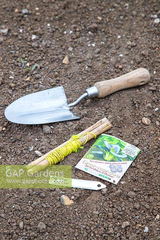 Tools and seeds ready for sowing Pak Choi in prepared seedbed