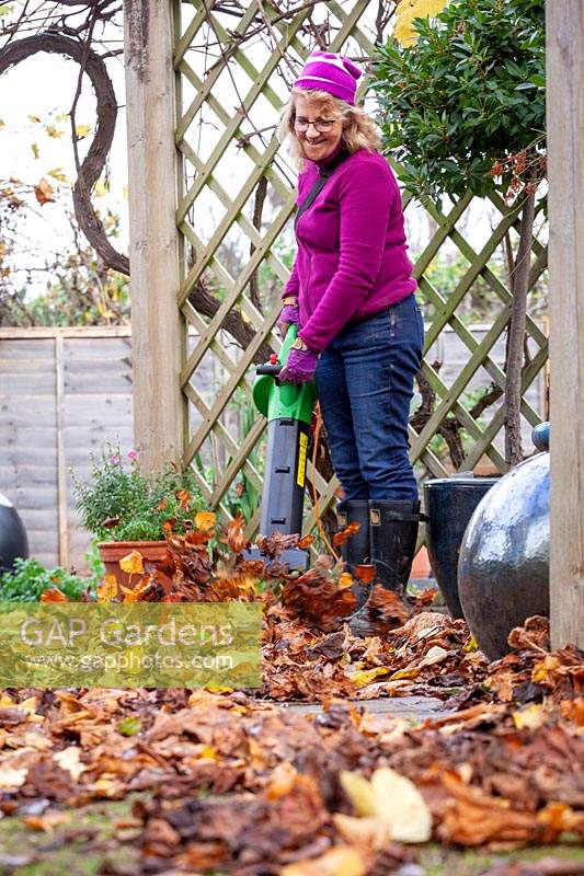 Clearing leaves from paving and paths using a leaf blower