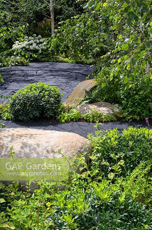 Pittosporum tobira 'Nana' and boulders along black path made from industrial furnaces by-products - The Smart Meter Garden -RHS Hampton Court  Palace Garden Festival 2019  
