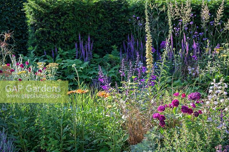 Mixed planting in The Cancer Research UK Pledge Pathway to Progress. RHS Hampton Court Palace Garden Festival, 2019.
