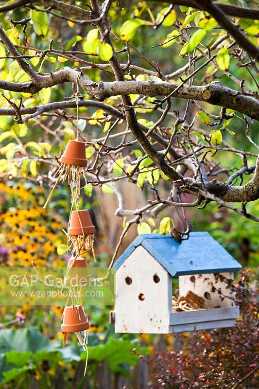 Upturned pots filled with straw as a bug house and a bird house hanging from pear tree.