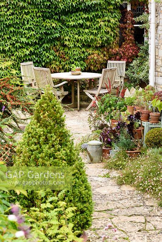 Seating area by the back door surrounded by Boston ivy, Parthenocissus tricuspidata, and lots of small pots containing succulents and salvias, at the Old Vicarage, Weare, Somerset, UK