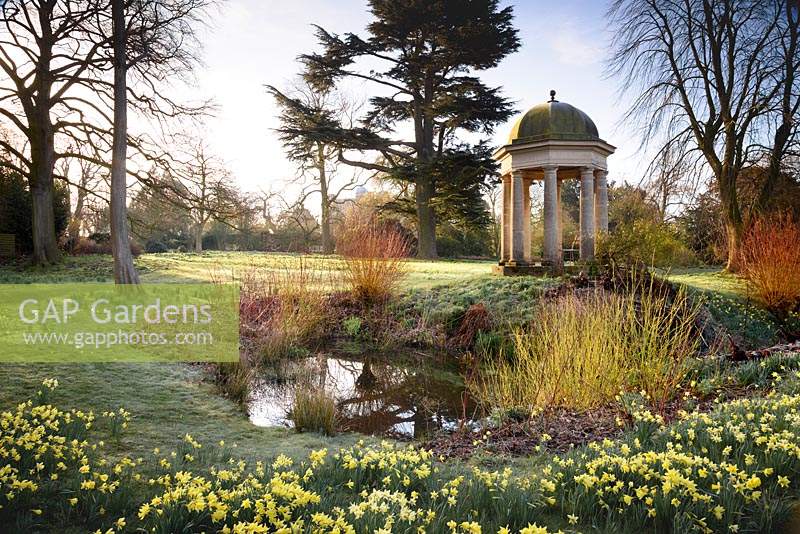 Temple of the Four Winds surrounded by naturalised daffodils and the bright stems of cornus and willow at Doddington Hall, Lincolnshire.