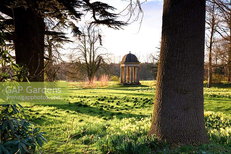 Temple of the Four Winds in the Wild Garden surrounded by naturalised daffodils at Doddington Hall, Lincolnshire in March