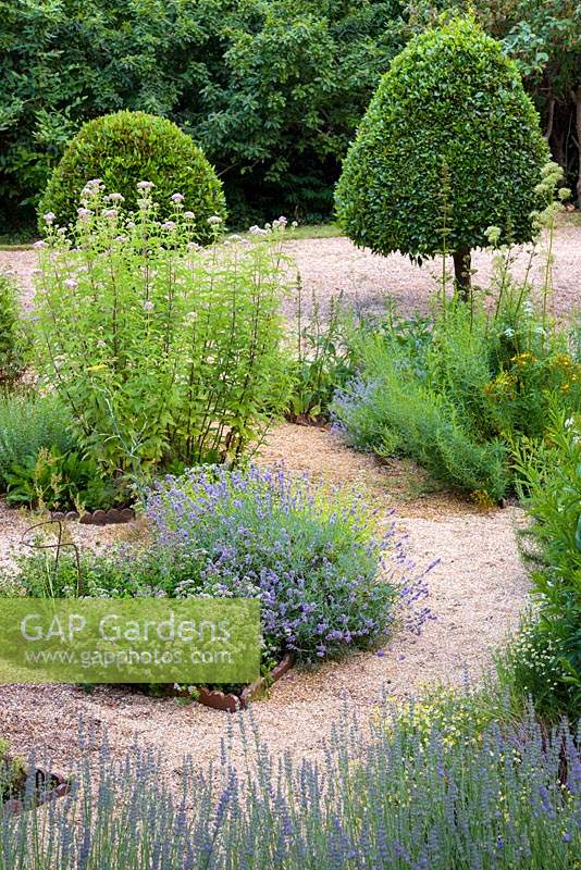 Herb garden with beds including lavender, marjoram, hemp agrimony and clipped bay trees at Deans Court, Wimborne, UK. 