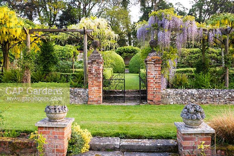 Gate leading into the Tunnel Garden between Wisterias at Heale Gardens, Wiltshire, UK. 