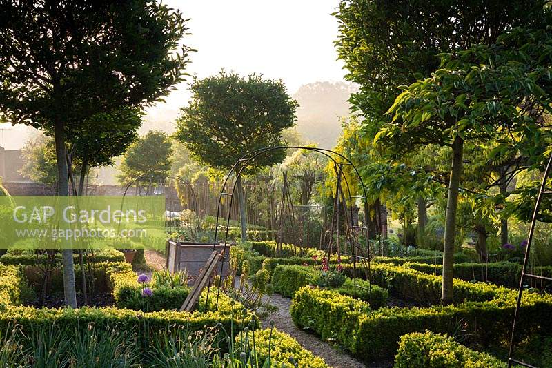 Clipped box hedges in the potager inside the Tunnel Garden at Heale Gardens, Middle Woodford, Wilts in May