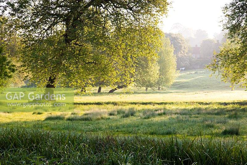 View out of the garden across the river to water meadows at Heale Garden, Middle Woodford, Wilts in May