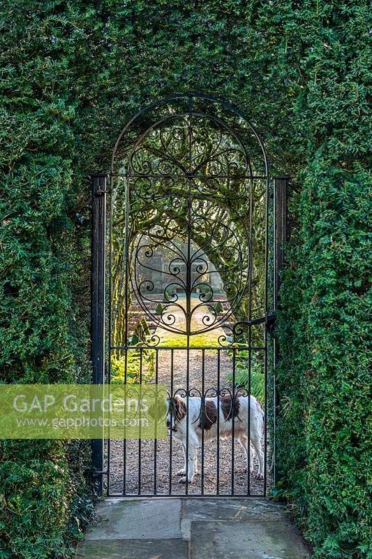 View through metal gateway to garden beyond. Fittleworth House, West Sussex, UK.
