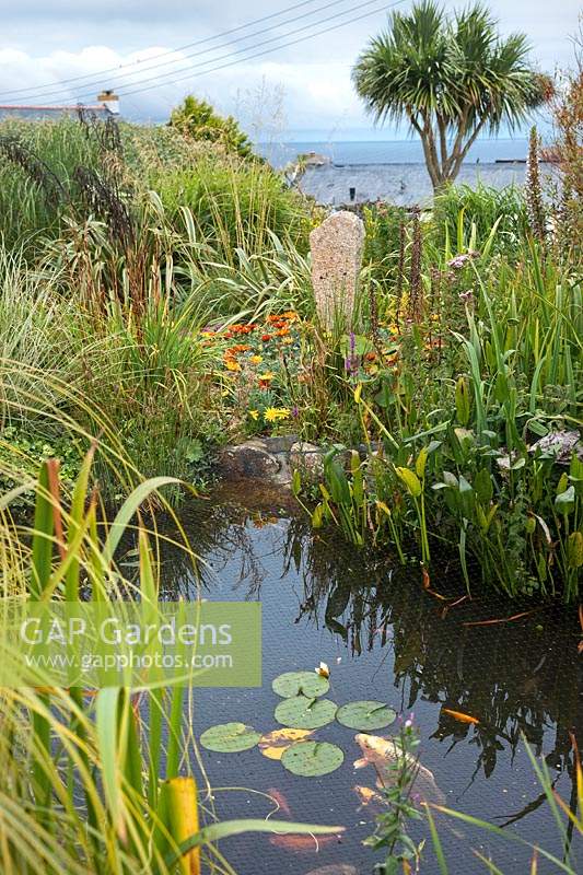 Looking back to standing stone over pond with Cortaderia selloana 'Albolineata' pampas grass 'Albolineata', Nymphaea waterlily, Gazania, Phormium and Cordylines