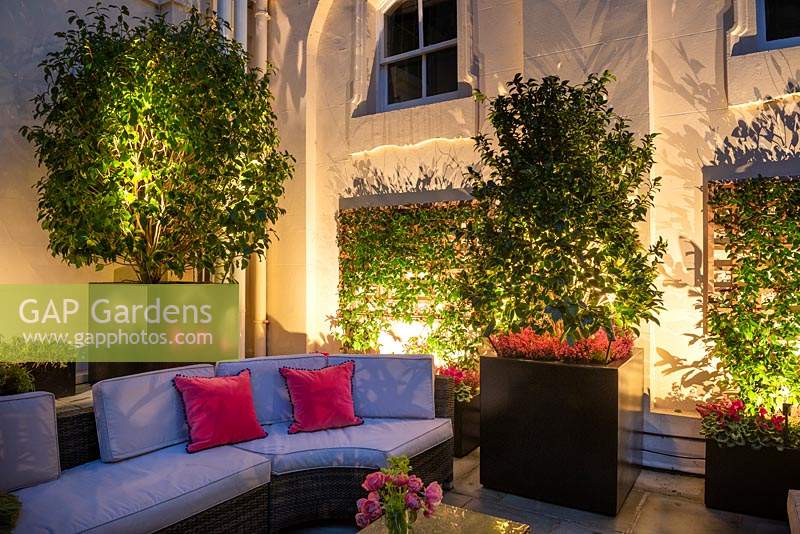 Enclosed outdoor seating area with lights emphasising container planting of Camellia and Trachelospermum jasmonoides in large containers 