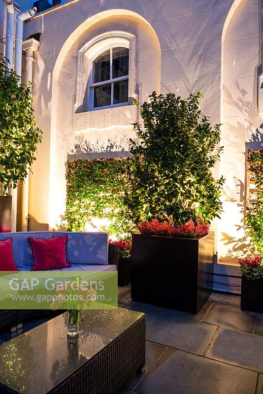 Lighting by container plantings against a house wall, part of outdoor seating area. Shrubs include Camellia and Trachelospermum jasmonoides in large black containers.