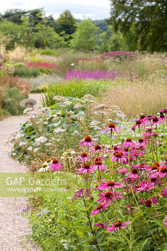 A path through the Floral Labyrinth at Trentham Gardens