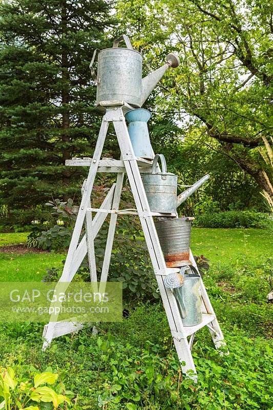 Vintage white painted wooden stepladder decorated with metal watering cans in residential garden