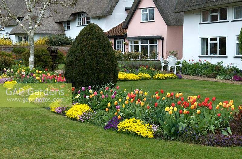 Colourful Spring border fronting thatched cottages - Pulham Market, Norfolk