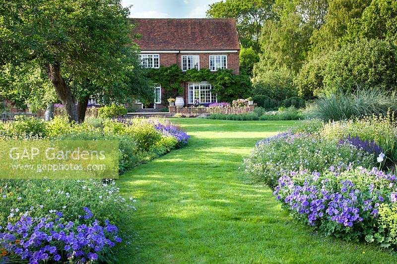 Wide grass pathway through flowering borders with view to house beyond. St Timothee, Berkshire, UK. 