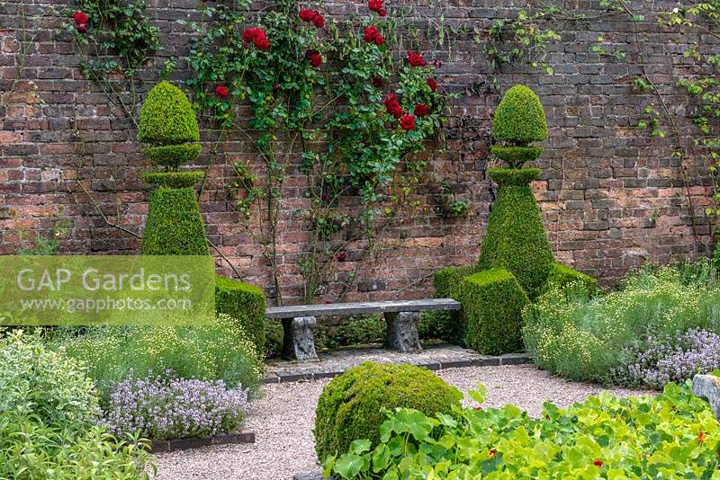 The Herb Garden. A bench flanked by box topiary, in a small formal walled garden.