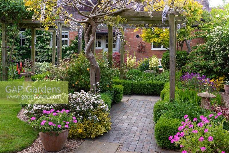 Cottage garden with Wisteria clad pergola over a brick path and Buxus edged borders 