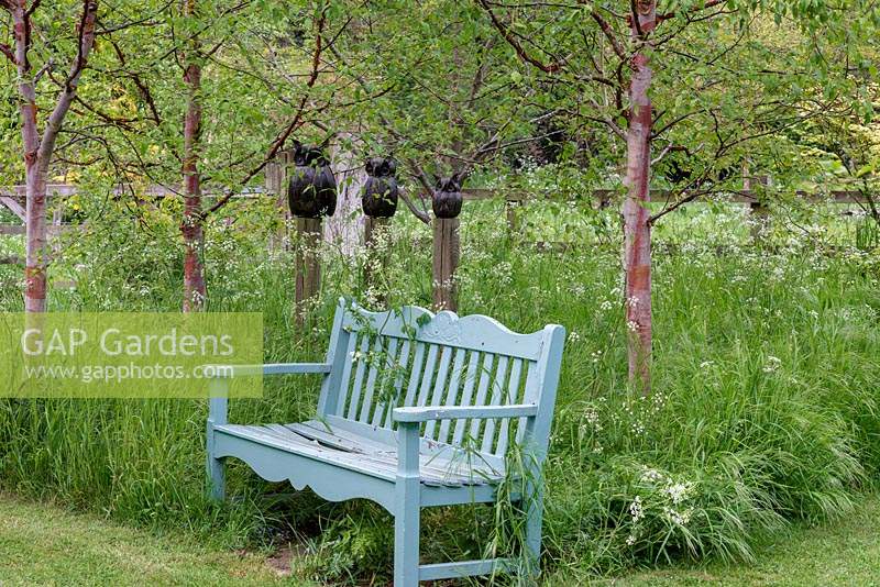 A bench partly rests in unmown grass and cow parsley, in a small grove of birch trees. Behind, owl statues are raised high on posts.