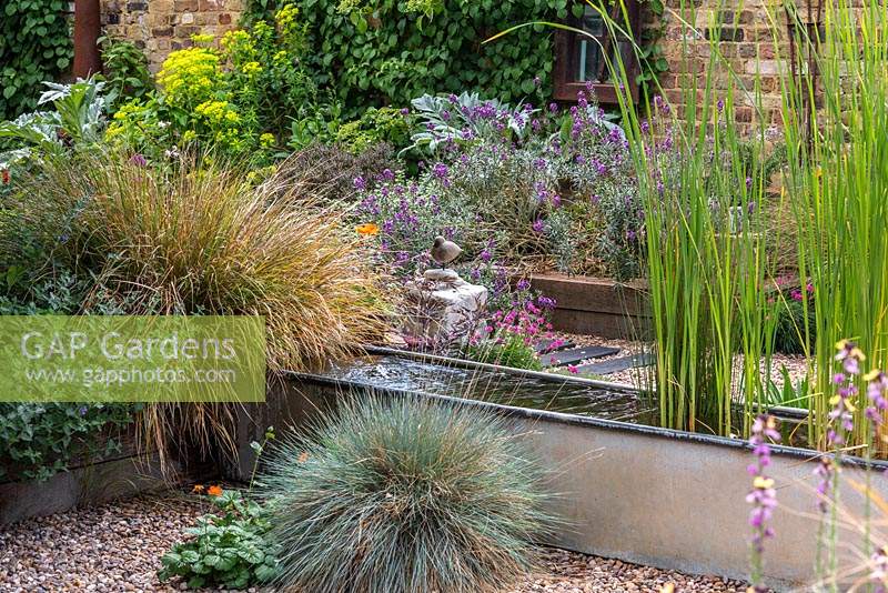 A salvaged galvanised water trough is converted into a water feature, and planted with irises and water lilies.  Clumps of blue fescue, orange geum and sea pinks grow in the gravel.