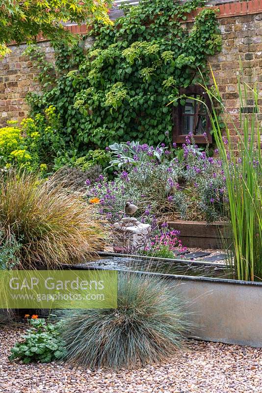 A salvaged galvanised water trough is converted into a water feature, and planted with irises and water lilies.  Clumps of blue fescue, orange geum and sea pinks grow in the gravel. Beyond, climbing hydrangea scales the brick wall.