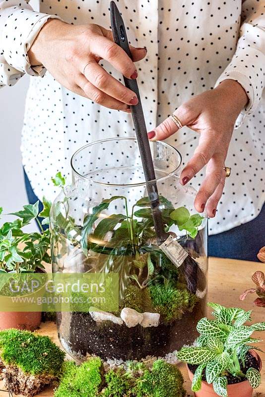 Planting a terrarium. Step 16: brush any earth away from the sides, and then water lightly.
