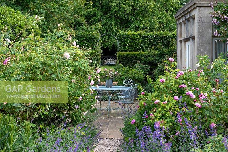 Small paved courtyard planted with old fashioned scented roses such as Rosa 'Jacques Cartier' and 'Fantin Latour'.
