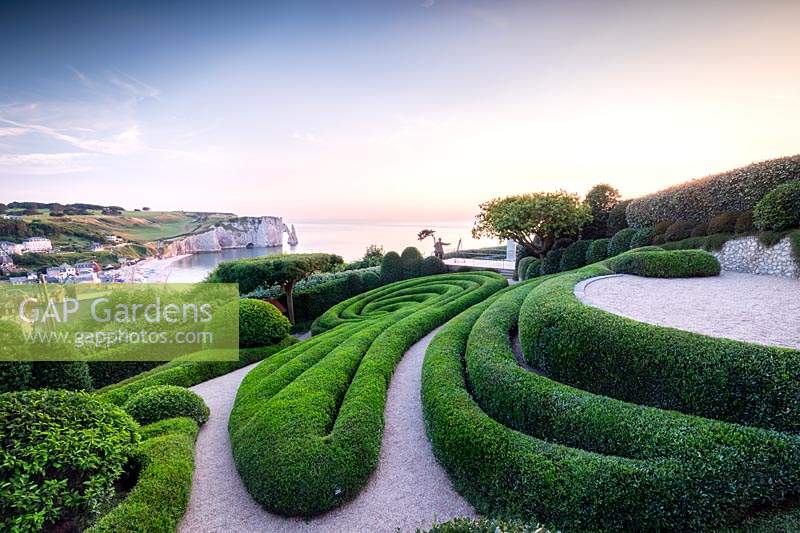 View over sculpted Phillyrea angustifolia spirals and view to the white cliffs and sea beyond.  