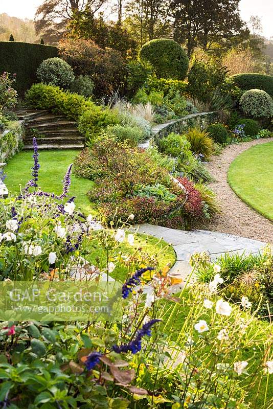 View over different borders of shrubs and herbaceous perennials softening hard landscaping of steps and retaining walls in a terraced garden. Beyond clipped Buxus - Box, Pittosporum and Osmanthus.