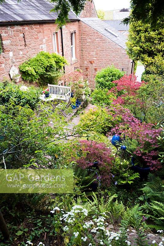 View down a sloping garden to a small terrace with seating area and planting of acers.