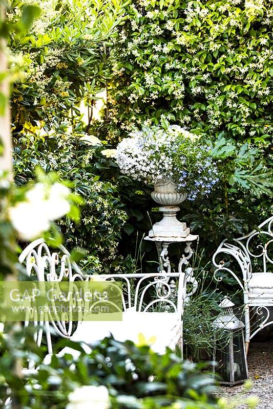 White metal benches in courtyard garden with classic urn container