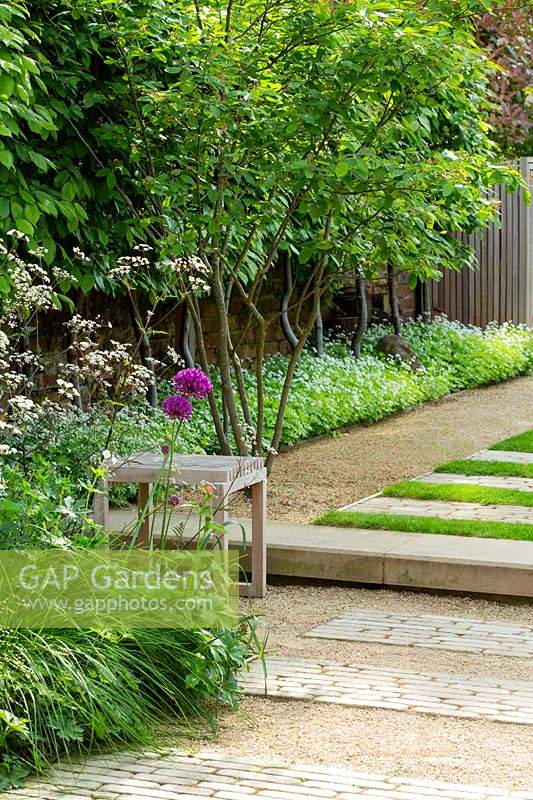A small wooden stool in a contemporary garden. A raised lawn and path beside pleached hornbeams underplanted with sweet woodruff.