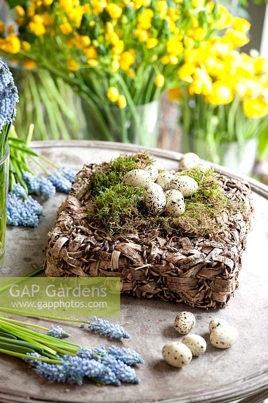 Decorative Easter arrangement using Muscari, quail eggs and moss in a basket made with rope and bark. 