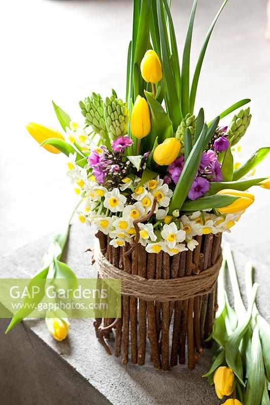 Cut stems of flowering bulbs held together by twigs and string, flowers include: Narccissus - Daffodil, Tulipa - Tulip, Hyacinthus - Hyacinth 