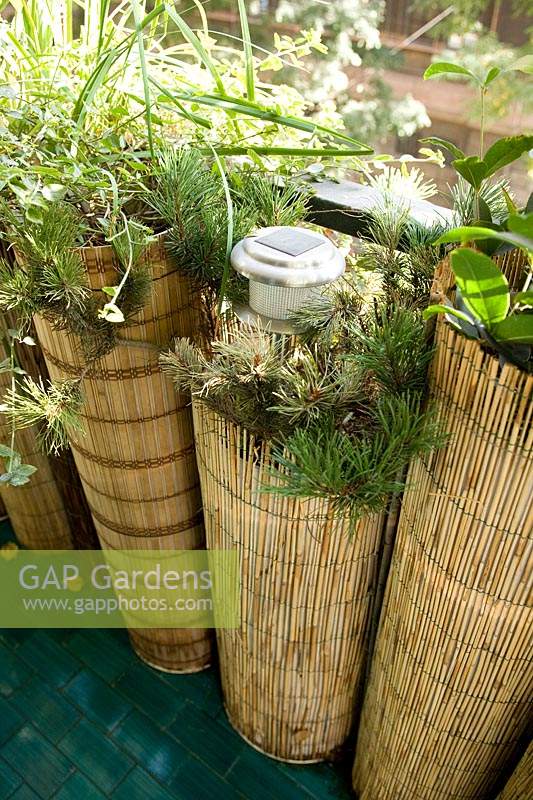 Planters surrounded with bamboo roll with solar light on balcony 