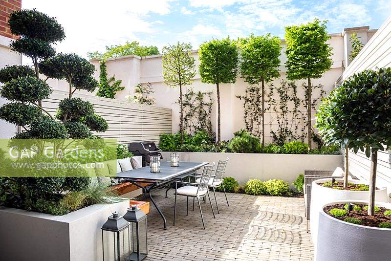 Small urban garden with dining area and BBQ surrounded by containers and raised beds with Laurus nobilis trees, Carpinus betulus, Trachelospermum jasminoides, Ilex crenata 'Blondie' - Bonsai