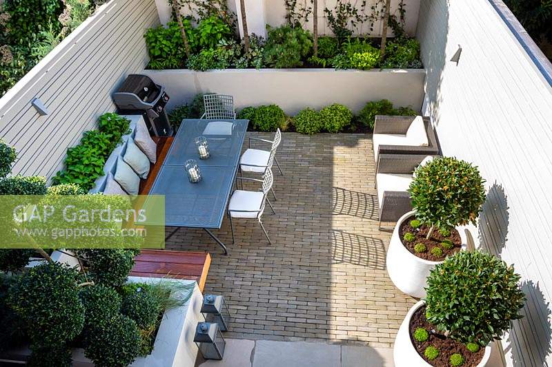 Small urban garden with dining area and BBQ, surrounded by white containers planted with Laurus nobilis trees standards, and raised beds with Trachelospermum jasminoides, Ilex crenata 'Blondie' - Bonsai and herbs.