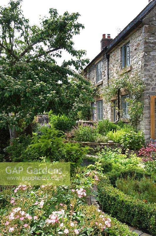 Small cottage garden with Roses in low  Buxus parterre and rasied bed of herbs next to stone house