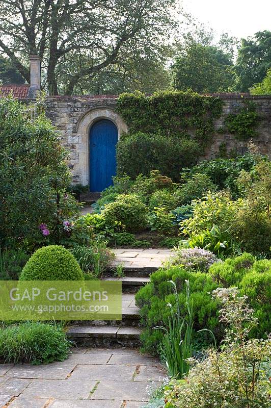 View up stone steps, through shrub borders to blue gate in wall in courtyard garden. 