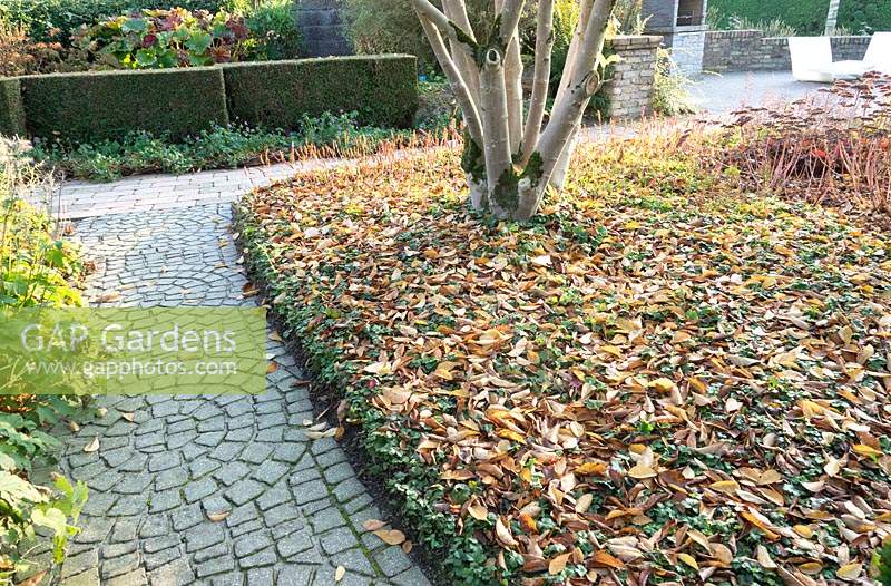 Path made with setts in circular pattern, near lawn covered in fallen leaves 