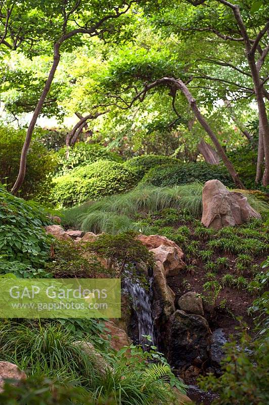 The corner of Japanese garden with trees and rocks.