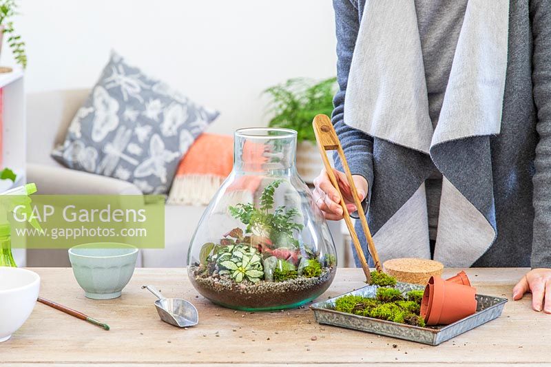 Woman using wooden tongs to place moss inside a terrarium