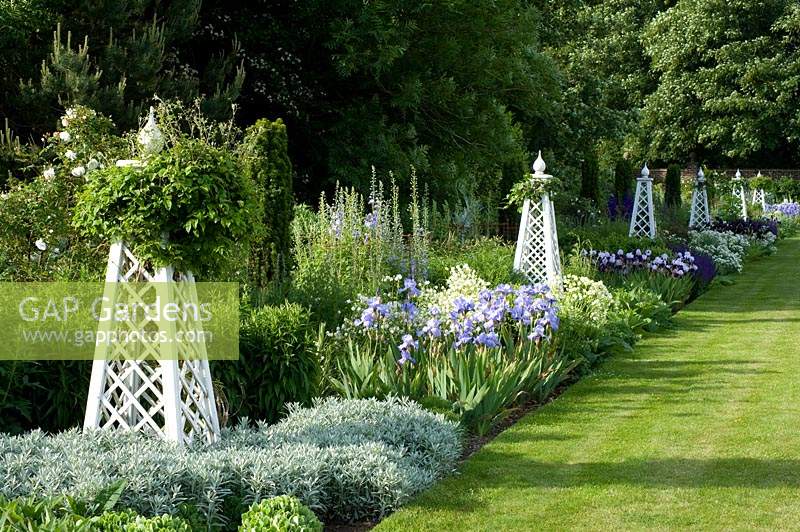 Border in country garden planted with irises, with white obelisks at regular intervals along grass path.